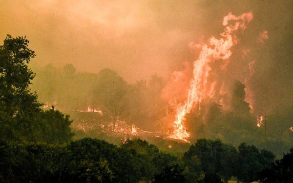 Φλώρινα: Σε εξέλιξη η πυρκαγιά σε δασική έκταση στο Βροντερό Πρεσπών