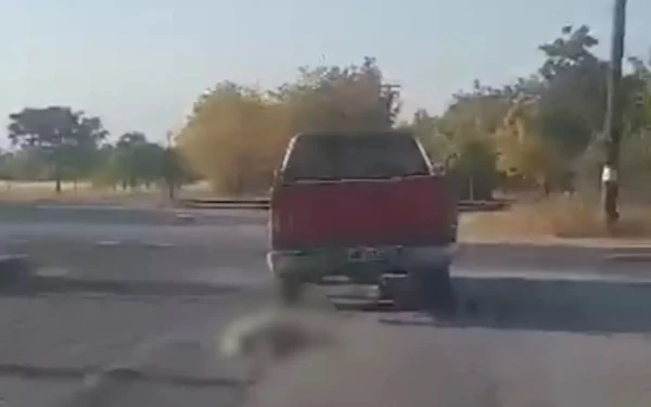 Ημαθία: Ελεύθερος ο 84χρονος που έδεσε και έσερνε σκυλί με αγροτικό αυτοκίνητο