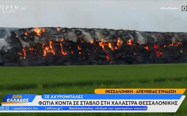 Θεσσαλονίκη: Υπό έλεγχο η φωτιά σε κτηνοτροφική μονάδα στη Χαλάστρα (βίντεο)