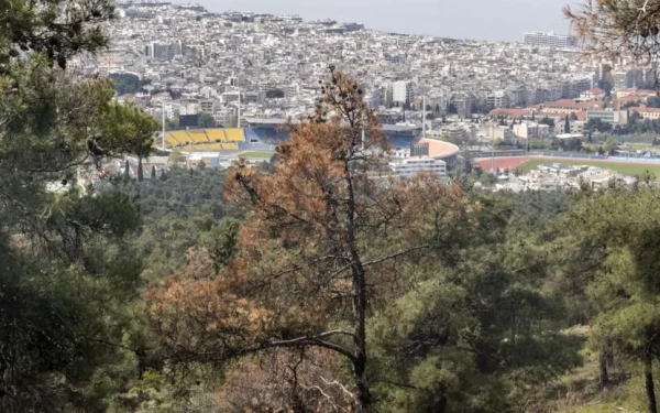 Σέιχ Σου: Το δάσος απέκτησε ραντάρ ανίχνευσης φωτιάς - Άρχισαν πτήσεις και από το πρώτο Drone