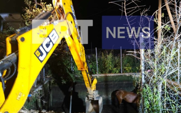 Ροδόπη: Πυροσβέστες και εθελοντές διέσωσαν άγριο άλογο που έπεσε σε δεξαμενή άρδευσης (φωτ.)