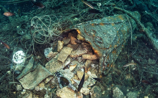 Χαλκιδική: Άρχισε να φυτρώνει ζωή στον βυθό της θάλασσας στο Πόρτο Κουφό (φωτ.)