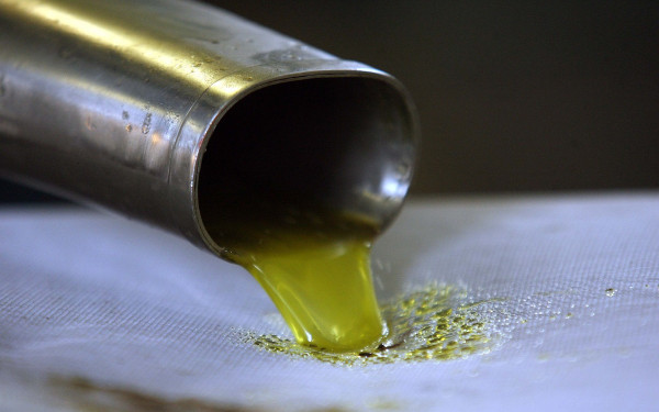 Ελαιόλαδο: Μειωμένη 40% η τιμή παραγωγού