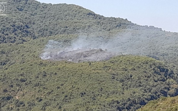 Ακόμα δύο φωτιές σε Εύβοια και Ναύπλιο - Στη μάχη και εναέρια μέσα