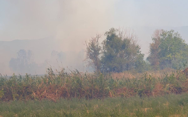 Κιλκίς: Συνεχίζεται η μάχη με τις φλόγες στο Πολύκαστρο