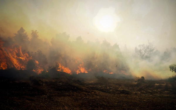 Β. Κικίλιας: Είναι νύχτα μάχης για μας η σημερινή στην Εύβοια
