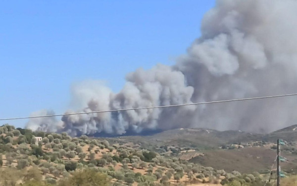 Πυροσβεστική: Εκδηλώθηκαν 60 αγροτοδασικές φωτιές το τελευταίο 24ωρο σε όλη τη χώρα - Πύρινα μέτωπα σε Βοιωτία, Ιωάννινα και Φθιώτιδα
