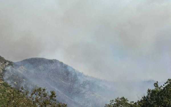 Φωτιά στους Φιλιάτες Θεσπρωτίας– Κρίσιμη νύχτα για τον έλεγχο του μετώπου (φωτ.)