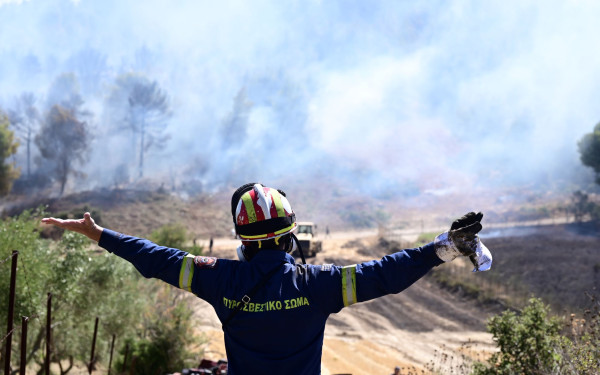 Πεντέλη: Από τον όλεθρο του 1995 στην καταστροφή του 2024