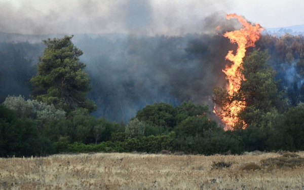 Σε συναγερμό η Πυροσβεστική για τον κίνδυνο φωτιάς και αύριο - Χάρτης με τις 12 «κόκκινες» περιοχές