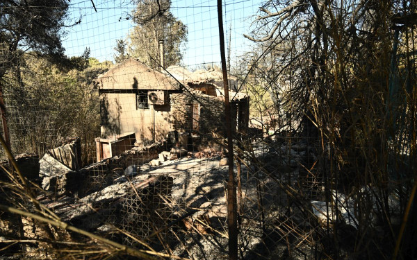 Κικίλιας: Χωρίς ενεργό μέτωπο η φωτιά στην Αττική - Το δυσκολότερο και πιο επικίνδυνο σκηνικό που κληθήκαμε να αντιμετωπίσουμε (βίντεο)