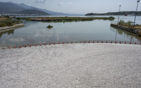 Βόλος: Διεθνείς διαστάσεις λαμβάνει η τραγική κατάσταση με τα νεκρά ψάρια στο λιμάνι - Τι γράφουν τα ξένα ΜΜΕ