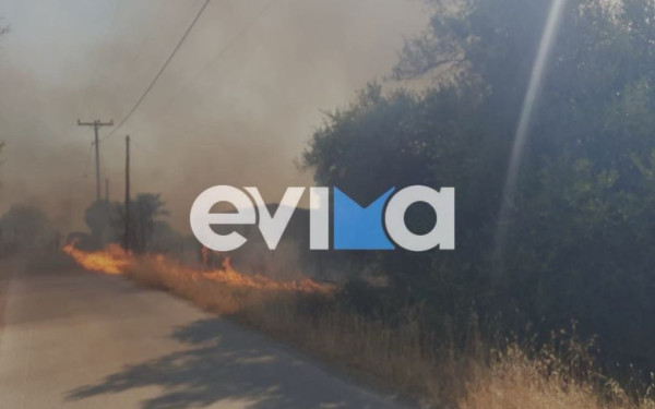 Δύσκολο βράδυ και στην Ερέτρια Ευβοίας - Μια «ανάσα» από τα σπίτια έφτασε η φωτιά (βίντεο, φωτ.)