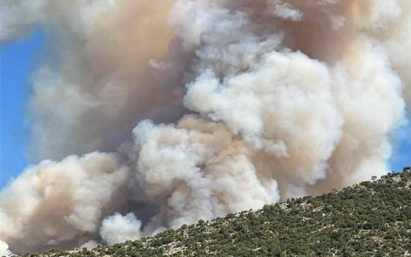 Σε ύφεση η φωτιά στον Παλαμπά Θεσπρωτίας