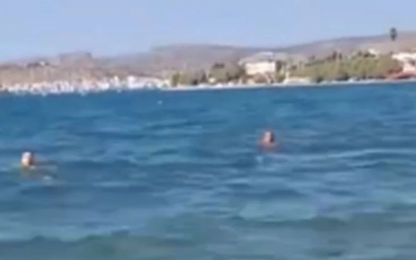 Σαλαμίνα: 20χρονη βούτηξε στη θάλασσα για να γλυτώσει από τον επίδοξο βιαστή της - «Ναι, τον έδειρα και θα το ξανάκανα» είπε ο φίλος της που την έσωσε (βίντεο)