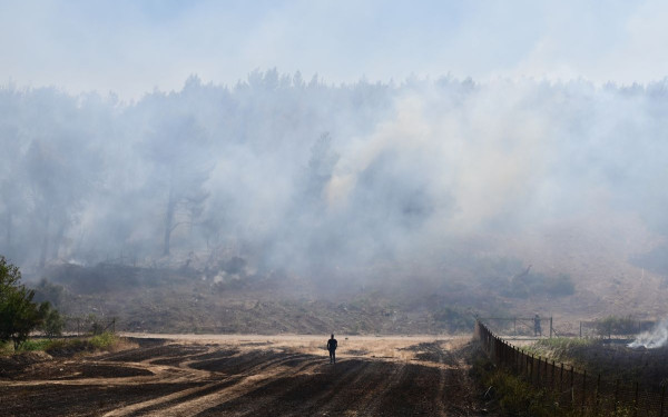 Λέκκας για φωτιές στην Αττική: Το ανάγλυφο του Βαρνάβα ευνοεί την ταχεία εξάπλωση της πυρκαγιάς - Εξαιρετικά δύσκολη η κατάσταση (βίντεο)
