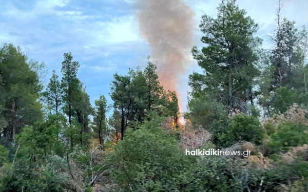 Χαλκιδική: Χωρίς ενεργό μέτωπο η φωτιά στο Άγιο Όρος - Αποχώρησαν τα 2 ελικόπτερα