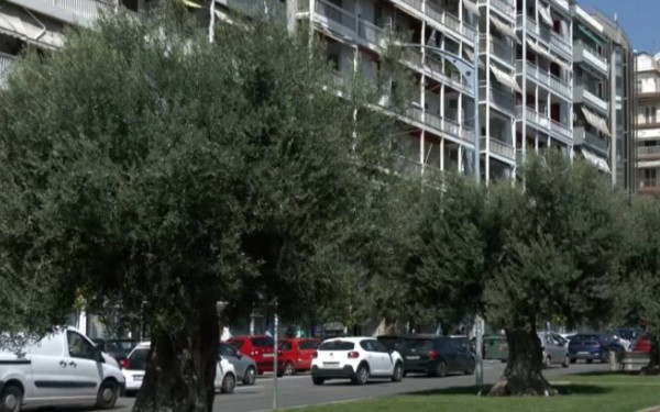 Ο Δήμος Θεσσαλονίκης είναι έτοιμος να βγάλει το δικό του βιολογικό λάδι