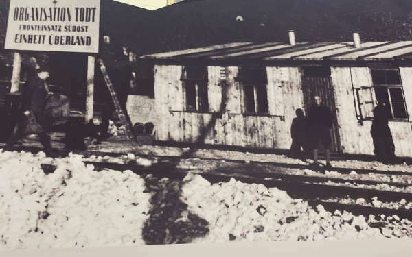 Γερμανία: Η άγνωστη ιστορία της καταναγκαστικής εργασίας στην Καρυά