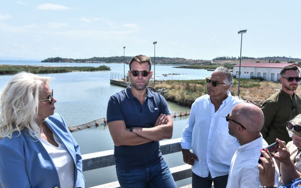 Στ. Κασσελάκης: Πρέπει και η πολιτεία και η κοινωνία να σταθεί στο πλευρό της Μαγνησίας - Τεράστια οικολογική καταστροφή το δράμα με τα νεκρά ψάρια