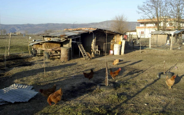 Βόλος: Συνταξιούχος ζει σε κοτέτσι για να μην έχει επαφή με τη γυναίκα και την κόρη του - Απείλησε να τις θάψει