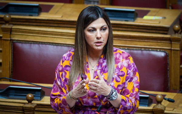 Σοφία Ζαχαράκη: Μια εκπαιδευτικός για το υπουργείο Παιδείας - Το βιογραφικό της