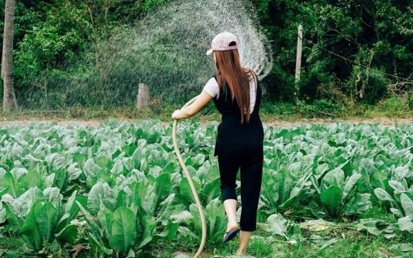 Ενίσχυση σε πολύτεκνες και τρίτεκνες αγρότισσες: 1.000 και 700 ευρώ στους λογαριασμούς τους την Παρασκευή