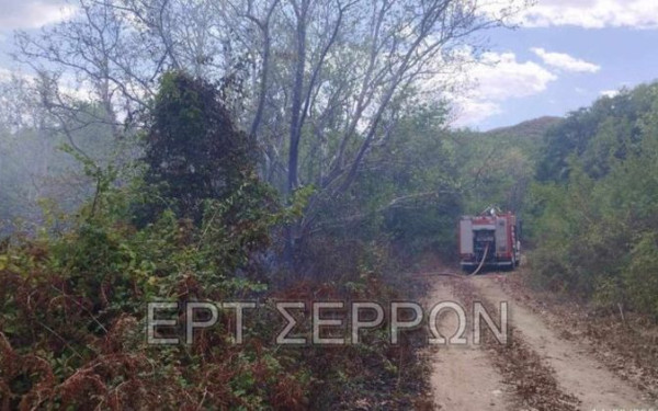 Σέρρες: Οριοθετήθηκε η πυρκαγιά που ξέσπασε στο Καστανοχώρι (βίντεο)
