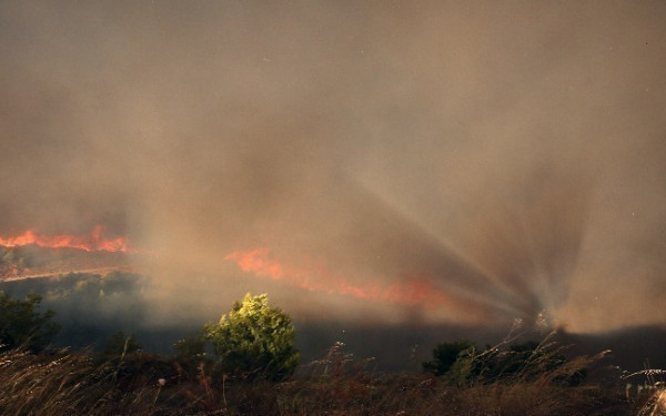 Πορτογαλία: Νεκροί τρεις πυροσβέστες που παγιδεύτηκαν στις φλόγες - Τα επτά έφτασαν τα θύματα της πύρινης λαίλαπας