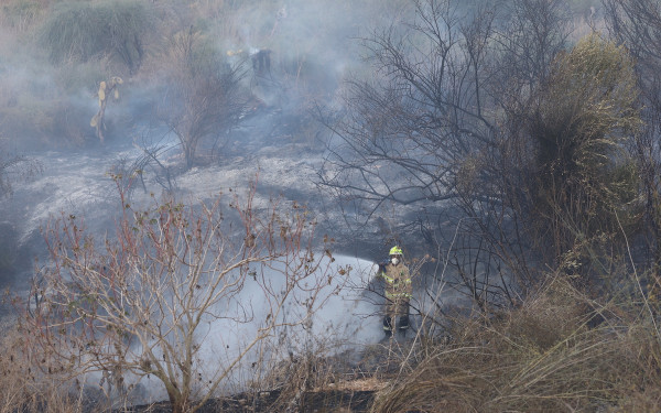 «Πανηγυρίζει» η Χαμάς για την πυραυλική επίθεση των Χούθι στο Ισραήλ