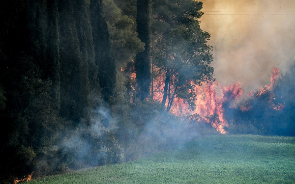 Καβάλα: Υπό έλεγχο η φωτιά σε δασική έκταση στην Νέα Πέραμο (βίντεο)
