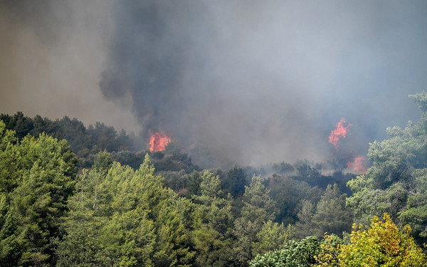 Εκδηλώθηκαν 24 πυρκαγιές σε μία ημέρα