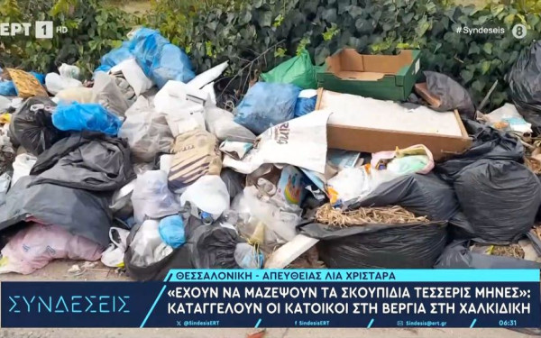 Χαλκιδική: «Έχουν να μαζέψουν τα σκουπίδια τέσσερις μήνες» καταγγέλουν οι κάτοικοι της Βεργιάς (βίντεο)