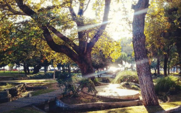 Θεσσαλονίκη: Η γλυκιά Γιορτή Μελιού για ένα τετραήμερο στο πάρκο Ξαρχάκου