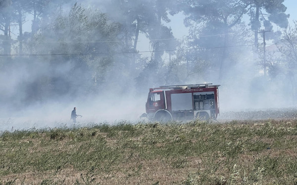 Πυρκαγιές στο Στρατώνι Χαλκιδικής και την Ειδομένη Κιλκίς (φωτ.)