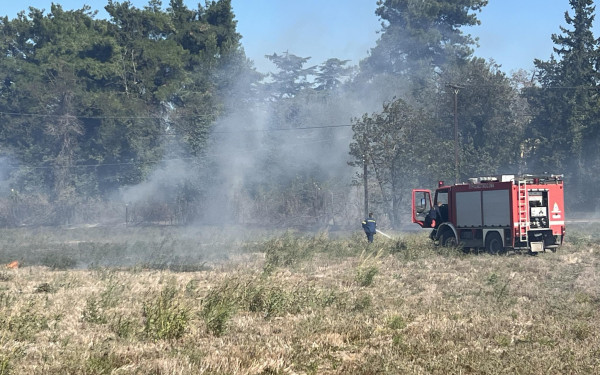 Υπό πλήρη έλεγχο οι φωτιές σε Χαλκιδική και Κιλκίς