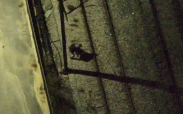 ΟΣΕ: Το drone «τσάκωσε» δύο άτομα που έκλεβαν σιδηροδρομικό υλικό - Δείτε φωτογραφίες