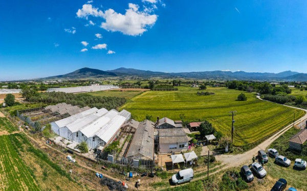 Θεσσαλονίκη: Ελπίδα για τους απεξαρτημένους μέσα από μια «Τρελή Ροδιά»