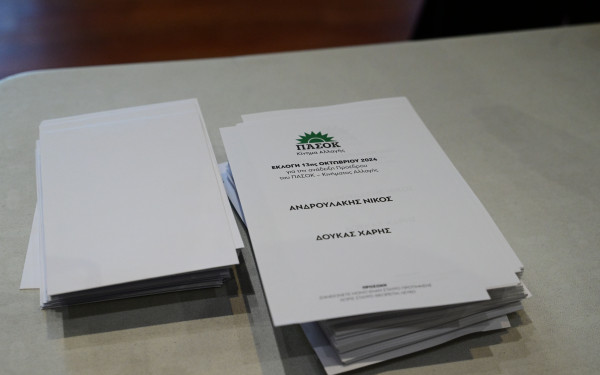 «Μονομαχία» Ανδρουλάκη-Δούκα για την αρχηγία του ΠΑΣΟΚ - Ομαλά εξελίσσεται η διαδικασία- Πάνω από 62.000 ψηφοφόροι το πρώτο τετράωρο (βίντεο)