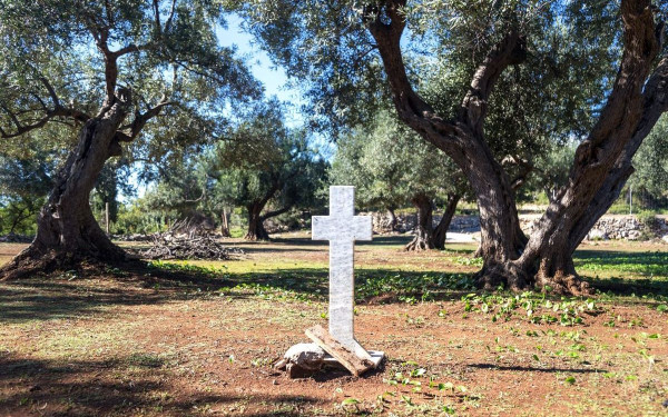 Οδοιπορικό τιμής και μνήμης στα μέρη όπου γράφτηκε το Έπος του 1940 (φωτ.)