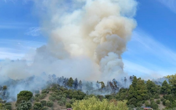 Χαλκιδική: Συνελήφθη 51χρονος για τη μεγάλη φωτιά στον Νέο Μαρμαρά