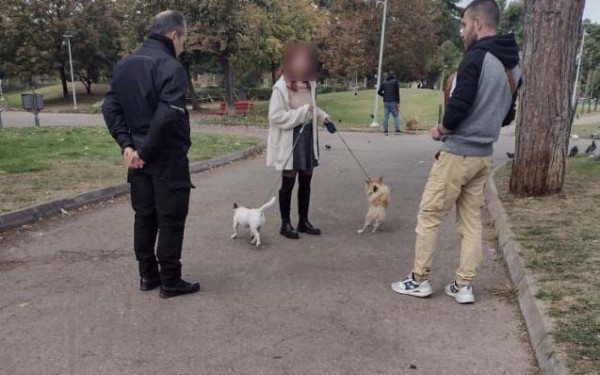 Θεσσαλονίκη: Έλεγχοι και πρόστιμα σε ιδιοκτήτες ζώων συντροφιάς