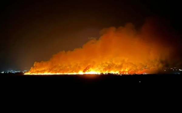 Μαίνεται η φωτιά στην Αχαΐα﻿﻿ για δεύτερη ημέρα: Μάχη να μην φτάσει στο δάσος της Στροφυλιάς﻿ (βίντεο)