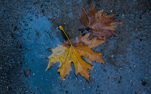 Μήνυμα 112 στην Αττική για την κακοκαιρία Bora -«Προσοχή στις μετακινήσεις»