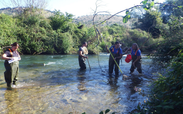 Καβάλα: Γνωρίζοντας τον Γκαβόχελο, ένα ψάρι με ιστορία 360 εκατ. ετών