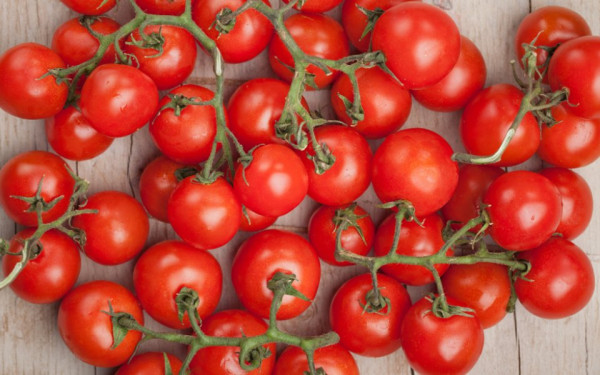 ECDC: Ανησυχία λόγω πολλαπλών κρουσμάτων σαλμονέλωσης από ντοματίνια σε 16 ευρωπαϊκές χώρες