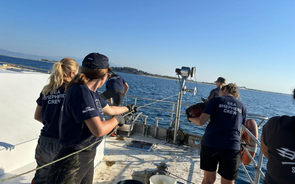 Πόρτο Λάγος: Ανέσυραν 6500 παράνομες παγίδες και απελευθέρωσαν 571 χταπόδια