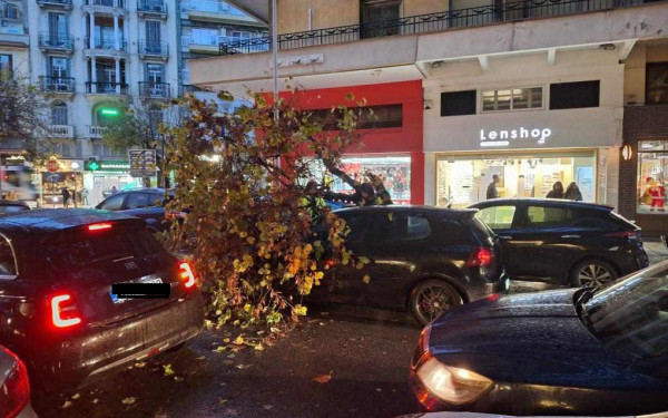 Θεσσαλονίκη: Δέντρα έπεσαν σε αυτοκίνητα στο κέντρο - Δείτε φωτογραφίες