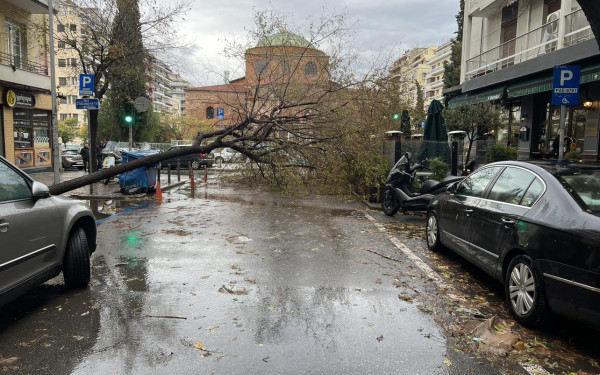 Κακοκαιρία «Bora»: Απεγκλωβισμοί και ζημιές σε υποδομές σε Θεσσαλονίκη και Χαλκιδική - Νέα μηνύματα από το 112
