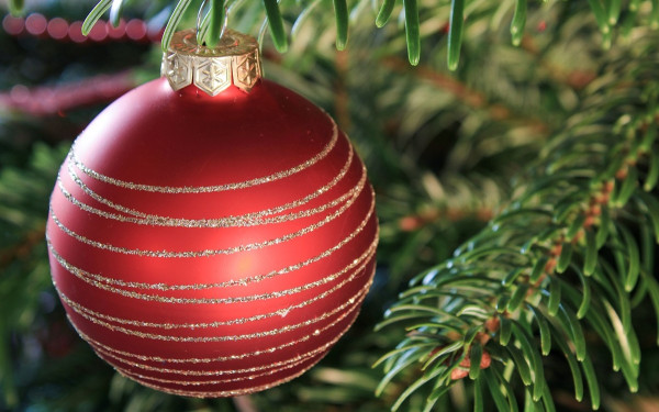 Δήμος Λαγκαδά: «Χριστουγέννων Μαγεία» με φωταγωγήσεις δέντρων σε είκοσι πλατείες